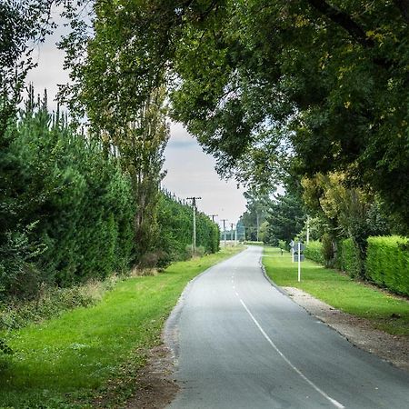Mount Thomas Road B&B Rangiora Εξωτερικό φωτογραφία