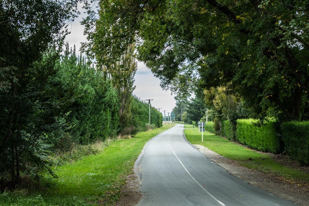 Mount Thomas Road B&B Rangiora Εξωτερικό φωτογραφία